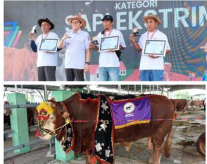 Kontes dan Pameran Ternak 2024 di Bojonegoro Resmi Berakhir, Berikut Nama-nama Pemenangnya