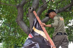 Pasca Pilkada 2024, Satpol PP Surabaya Bersihkan Alat Peraga Sosialisasi