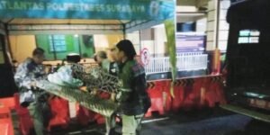 Satpol PP Surabaya Amankan Pencuri Kursi Besi Milik Pemkot, Pelaku dibawa ke Polsek Bubutan