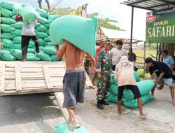 Penyerapan Gabah, Babinsa Koramil Babat Peduli Petani Lamongan