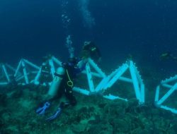 Dalam Rangka Memperingati Hari Ulang Tahun Ke-18, Pangkalan TNI Angkatan Laut Gorontalo Mengadakan Kegiatan Transplantasi Terumbu Karang Di Perairan Teluk Tomini