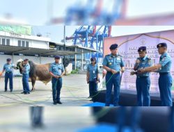 Panglima Kolinlamil Berkesempatan Menyerahkan Secara Simbolis Hewan Qurban Berupa Seekor Sapi Kepada Panitia Idul Adha Dalam Rangka Peringatan Hari Raya Idul Adha 1446 H 2025